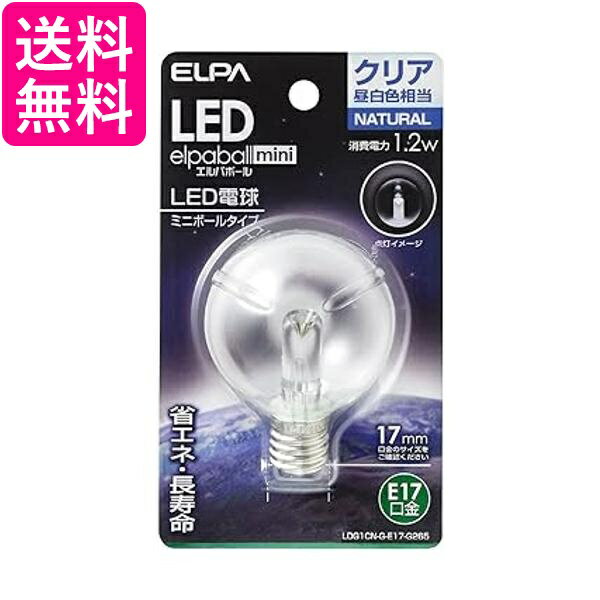エルパ LED電球G50形 LED電球 照明 E17 1.2W 昼白色 屋内用 LDG1CN-G-E17-G265 送料無料 【G】