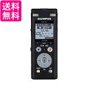 OLYMPUS ICR[_[ VoiceTrek DM-750 DM-750 BLK [4GB MicroSD  yGz