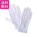 P-80L 編集用手袋 L 送料無料 【G】