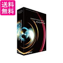 Singer Song Writer Loops 送料無料 【G】