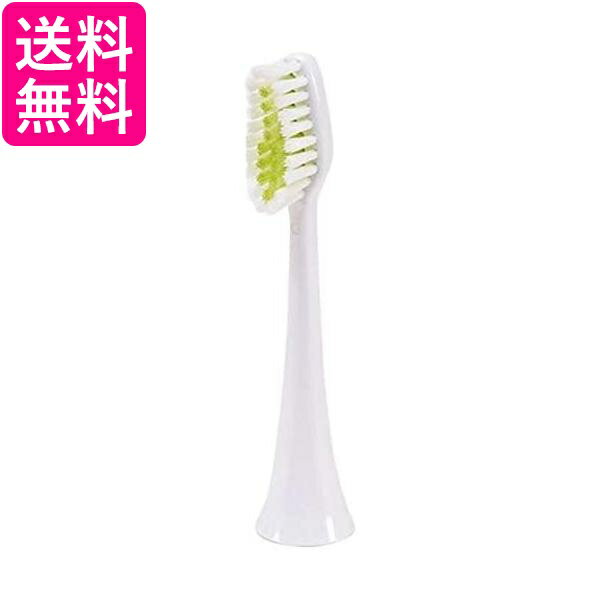 FL-SS 替えブラシ ソフト センシティブ 送料無料 【G】