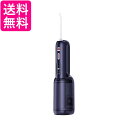 infly IF-P11S ブラック 口腔洗浄器 ウォーターフロス 大容量 300ml + 携帯用 150ml 2種類タンク付き 送料無料 【G】