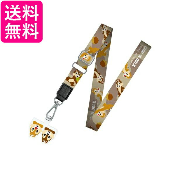 PGA ���ȥ�åץۥ������ �����������ȥ�å� ���åס��ǡ��� PG-DSDST08CPD ����̵�� ��G��