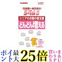 トーラス 乳酸菌+納豆成分 ヨーグル3 42個 (x 1) 送料無料