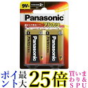 パナソニック LR61XJ/2B アルカリ乾電池9V形 2本パック 乾電池 送料無料