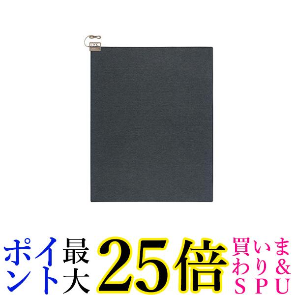 パナソニック 3畳相当 DC-3NKM 1枚入 着せ替えカーペット用ヒーター 送料無料