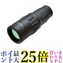 Kenko VT-1030M 単眼鏡 V-TEX 10×30 10倍 30口径 送料無料