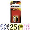 Panasonic LR1XJ/2B パナソニック アルカリ乾電池 単5 (2本入) ブリスター包装 送料無料
