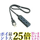 パナソニック WHA2524BKP ザ・タップX ブラック 4個口 2m Panasonic 送料無料