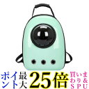 ペットキャリーバッグ ブルー ペットキャリー バッグ 猫 犬 おしゃれ ネコ イヌ バック ケージ (管理S) 送料無料