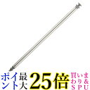 カシオ計算機 XD-PF10 EX-word用 純正タッチペン 2本入り CASIO 送料無料