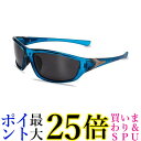 サングラス スポーツ 偏光 おしゃれ 紫外線カット 軽量 アウトドア スポーツ用 偏光グラス ドライブ 野球 釣り 運転 C9 (管理S) 送料無料