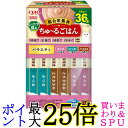 いなば ちゅ〜るごはん シニア 猫用バラエティ 14g×36本 猫用 おやつ BOX CIAO 送料無料