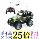 ラジコンカー RC 車 オフロード RCカー リモコンカー LED搭載 走破性 おもちゃ こども 男の子 誕生日 クリスマス プレゼント 管理S 送料無料