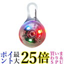 首輪 光る 犬用 LED 大型犬 ペンダント USB充電式 小型犬 ペット レインボー (管理S) 送料無料