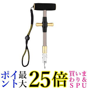 ★19日20:00から26日1:59 ポイント最大25倍！！★クイック針外し フックリムーバー T型フックタックル抽出器 フックリムーバー ゴールド (管理C) 送料無料