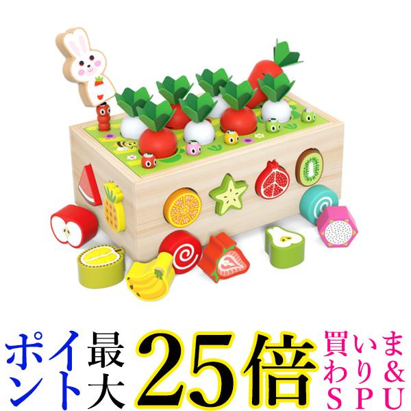 木のおもちゃ おもちゃ 知育玩具 型はめ 引っ付き虫 積み木 子ども 出産祝い (管理S) 送料無料