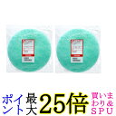 2個セット 東芝 39242922 衣類乾燥機 花粉フィルタ TOSHIBA 送料無料