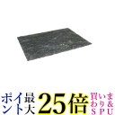 2個セット パナソニック FSE251K001 浴室暖房換気乾燥機用フィルター防カビ対応フィルター 送料無料