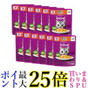 12個セット カルカン パウチ 15歳から 味わいチキン 60g ペットフード 猫 キャットフード ウェット 送料無料