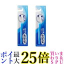 2個セット ポリデント 入れ歯の歯ブラシ 送料無料
