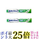 2個セット 新ポリグリップ 75g 無添加 入れ歯安定剤 送料無料