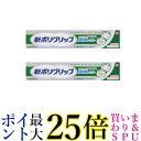 2個セット 新ポリグリップ 部分 総入れ歯安定剤 極細ノズル 40g 送料無料