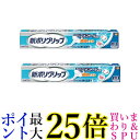 2個セット 新ポリグリップ 部分 総入れ歯安定剤 極細ノズル メントール配合 70g 送料無料