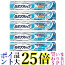 5個セット 新ポリグリップ 部分 総入れ歯安定剤 極細ノズル メントール配合 70g 送料無料