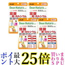 4個セット アサヒ ディアナチュラスタイル 葉酸×鉄・カルシウム 120粒 60日分 送料無料