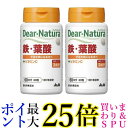 2個セット アサヒ ディアナチュラ 鉄 葉酸 60日分 60粒 送料無料