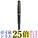 呉竹 DAY140-14 くれ竹万年毛筆 夢銀河 本革 黒 送料無料 【G】