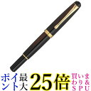 呉竹 DAY140-45 くれ竹万年毛筆 夢銀河 レパードアイ 中字 送料無料 【G】