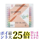 呉竹 MS-3500/24V ZIG メモリーシステムカリグラフィー 24色セット 送料無料 【G】