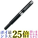 くれ竹万年毛筆 スターリーナイト 撰 本革 黒 DAY142-4 送料無料 【G】