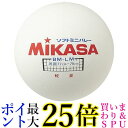ミカサ ソフトミニバレーボール 大 円周78cm 175g 軽量タイプ ホワイト BM-LM MIKASA 送料無料 【G】