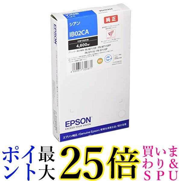 EPSON CNJ[gbW IB02CA VA 4600y[W  yGz