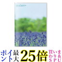 HAKUBA アルバム PポケットアルバムNP Lサイズ 20枚 ラベンダー APNP-L20-LVD 送料無料 【G】