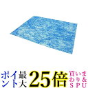 ダイニチ (Dainichi) 加湿器 フィルター 交換用 抗ウイルスエアフィルター H060535 送料無料 【G】