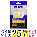 EPSON スーパーファイン専用はがき (100×148mm)はがき 50枚入り MJSP5 送料無料 【G】