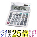 ナカバヤシ 電卓 12桁 L ECD-2113S 送料無料【G】(2)