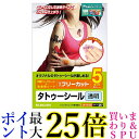 エレコム タトゥーシール フリーカット A4サイズ 5枚入り クリア 日本製 お探しNoQ87 EJP-TATA45 送料無料 【G】