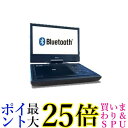 WIZZ Bluetooth搭載10.1インチポータブルDVDプレーヤー 送料無料 【G】