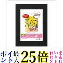 ナカバヤシ DGVM-2L-D カラーVカットマット台紙2Lサイズ エレクトロニクス 送料無料 【G】
