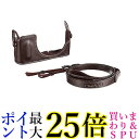 パナソニック ボディケース&ストラップキット DMW-BCSK4-T 送料無料 【G】