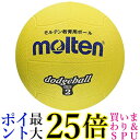molten(モルテン) ドッジボール ゴム2号球 黄 D2Y 送料無料 【G】