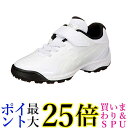 アシックス 野球 トレーニングシューズ STAR SHINE TR 2 110(ホワイト/ホワイト) 22cm 2.5E 送料無料 【G】