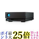 ラシー STHS18000800 外付けHDD ハードディスク 18TB 1big Dock Thunderbolt 3 USB-C Mac/iPad/Windows対応 送料無料 【G】(2)