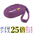 TRUSCO(トラスコ) ラウンドスリング(JIS規格品) 1.0t×0.5m TRJ10-05 送料無料 【G】
