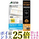 エーワン 名刺 マルチカード 厚口 100枚分 51261 送料無料 【G】